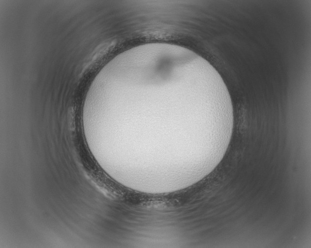 X0000076400738200611031721