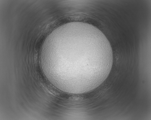 X0000076400745200611031721