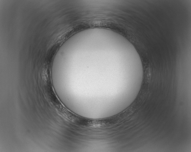 X0000076400746200611031721