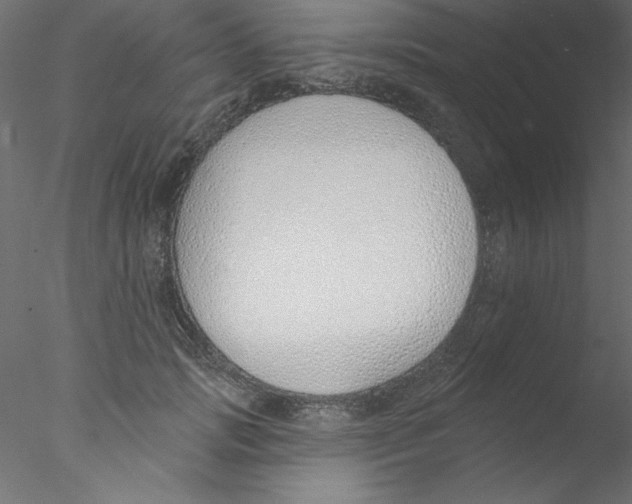 X0000076400749200611031721