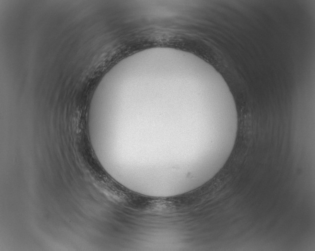 X0000076400750200611031721