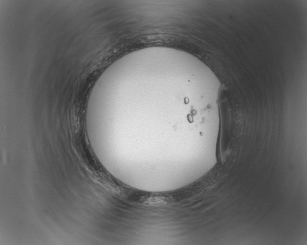 X0000076400751200611031721