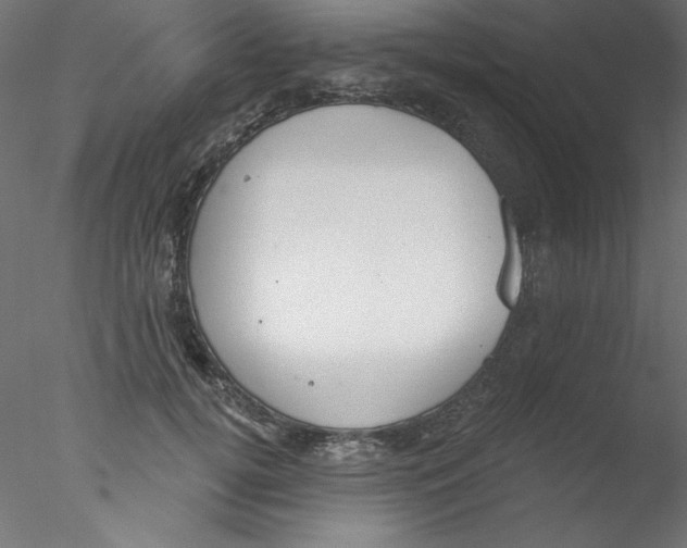 X0000076400752200611031721