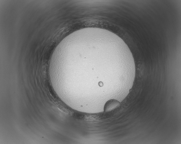 X0000076400753200611031721