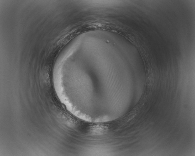 X0000076400754200611031721