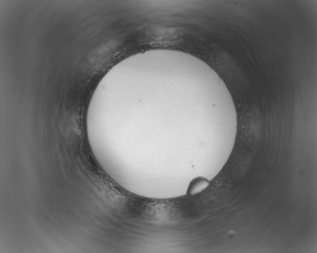 X0000076400755200611031721