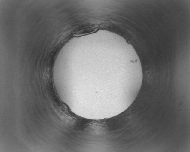 X0000076400756200611031721