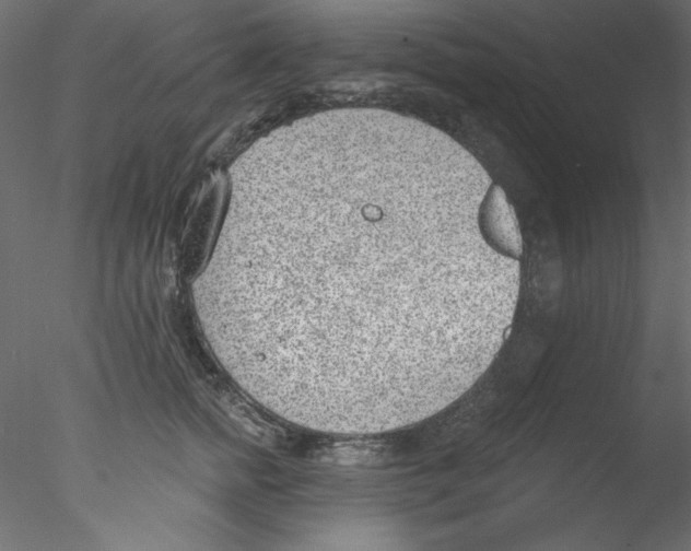 X0000076400758200611031721