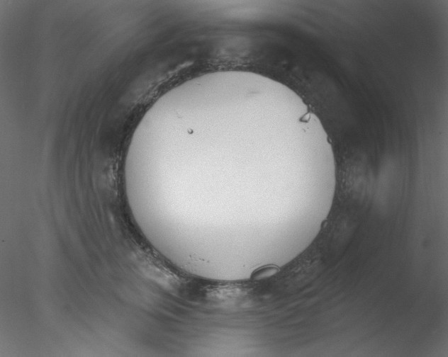 X0000076400759200611031721