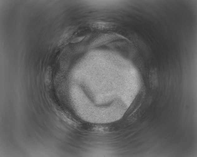 X0000076400760200611031721