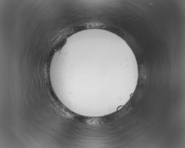 X0000076400761200611031721