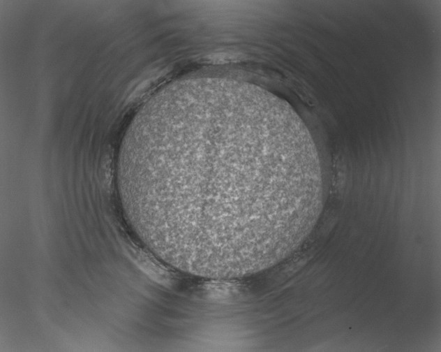 X0000076400762200611031721