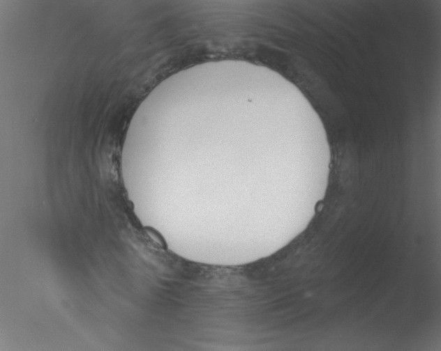 X0000076400770200611031721