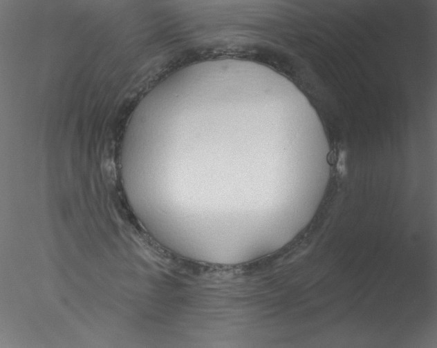 X0000076400771200611031721