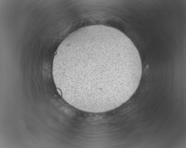 X0000076400772200611031721