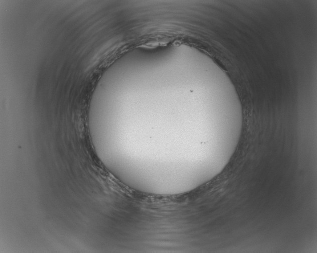 X0000076400774200611031721