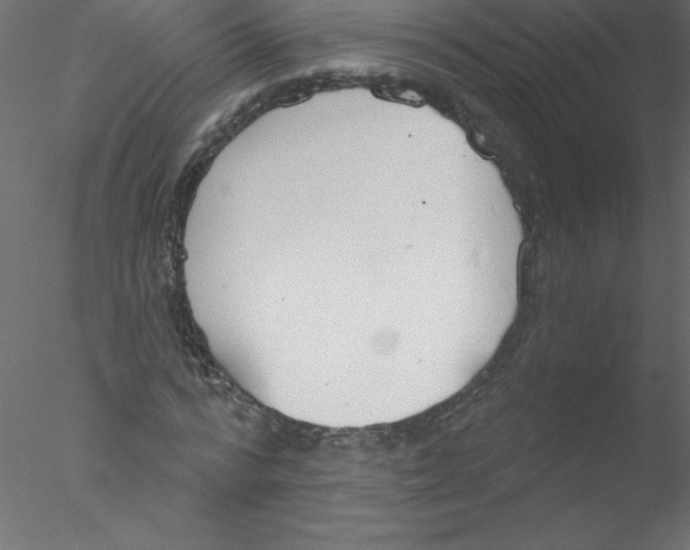 X0000076400776200611031721