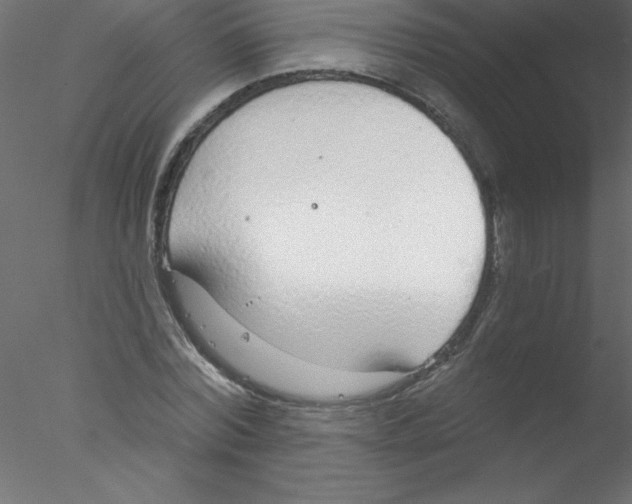 X0000076400780200611031721