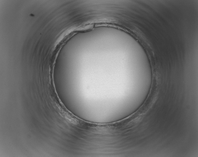 X0000076400781200611031721