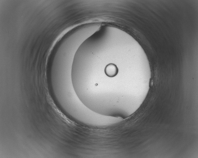 X0000076400784200611031720