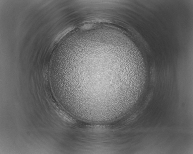 X0000076400785200611031720