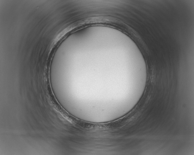 X0000076400786200611031720