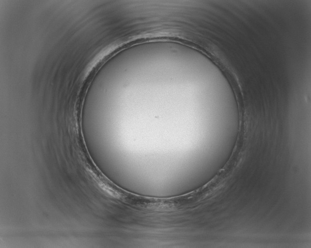 X0000076400789200611031720