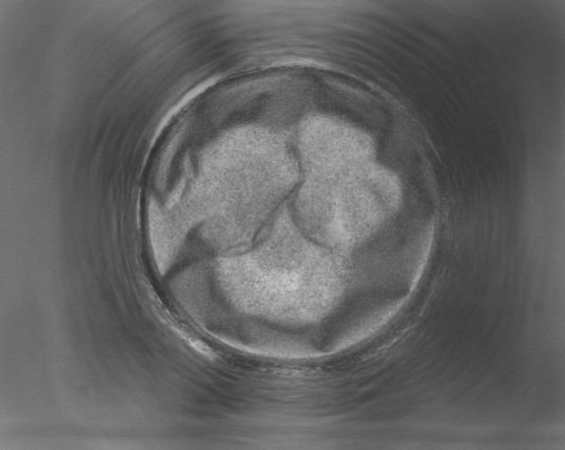 X0000076400790200611031720