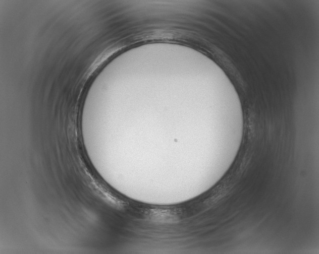 X0000076400794200611031720