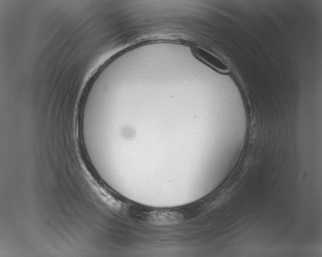 X0000076400795200611031720