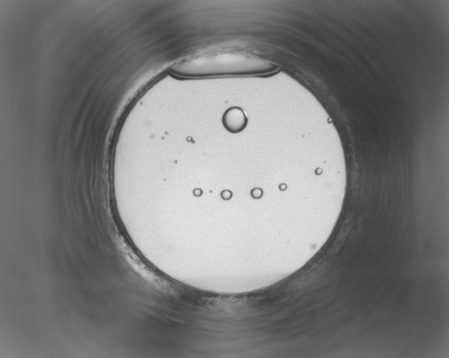 X0000076400800200611031720