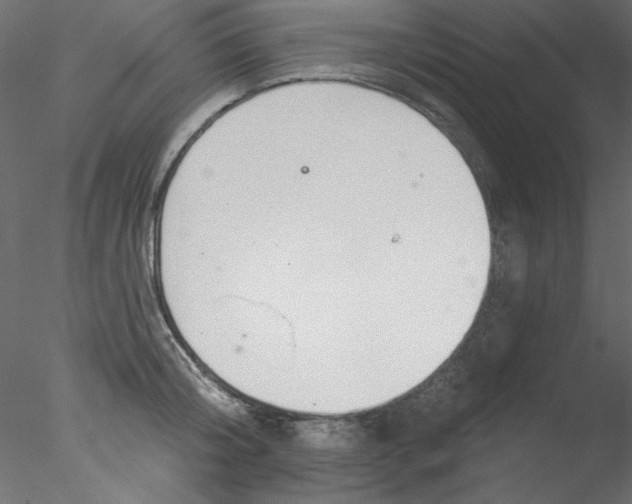 X0000076400804200611031720