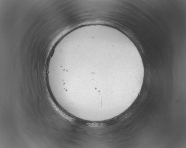 X0000076400805200611031720