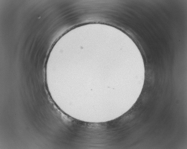 X0000076400807200611031720