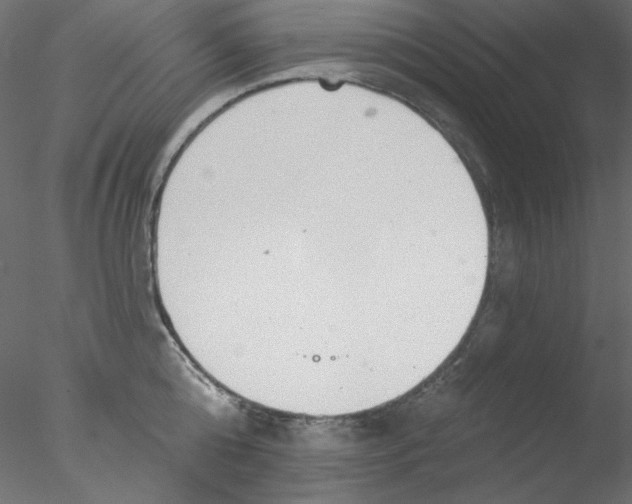 X0000076400808200611031720