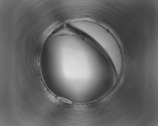 X0000076400809200611031720