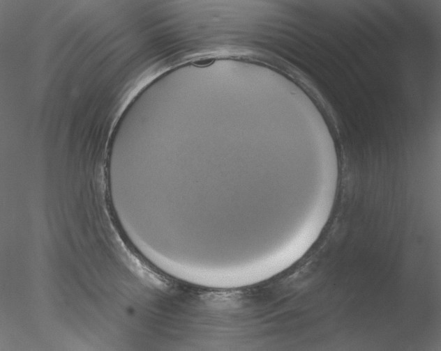 X0000076400810200611031720