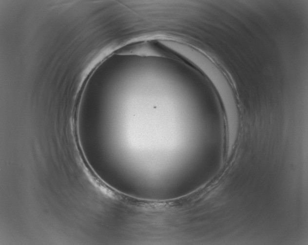 X0000076400813200611031720