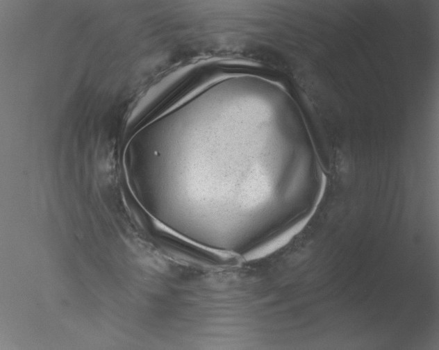 X0000076400818200611031719