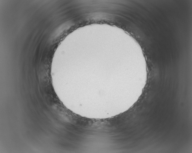 X0000076400824200611031719