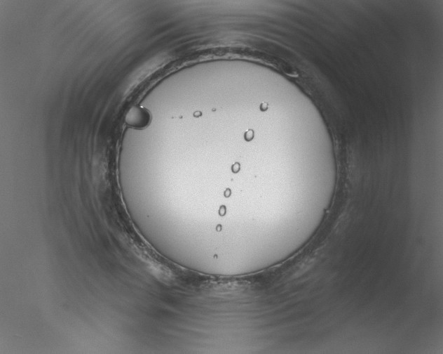 X0000076400826200611031719