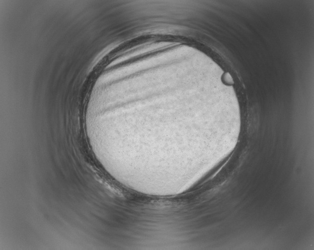 X0000076400829200611031719