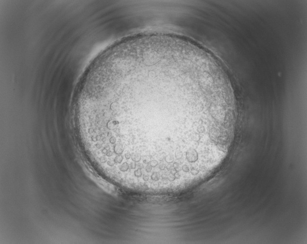 X0000076400832200611031719