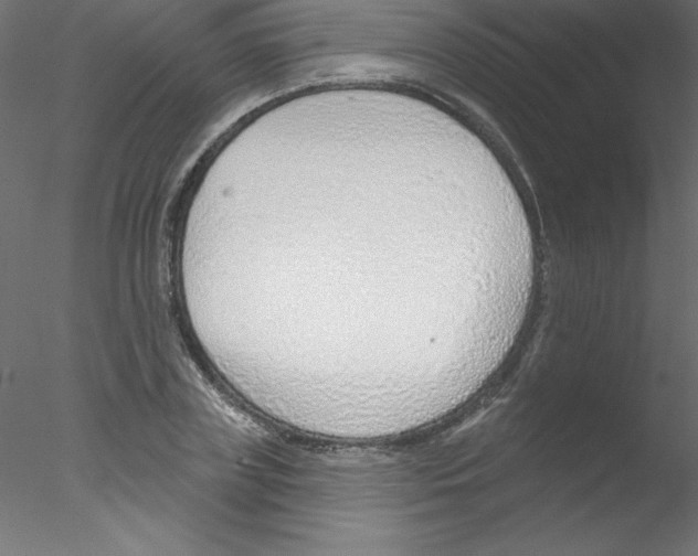 X0000076400835200611031719