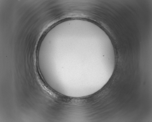 X0000076400840200611031720