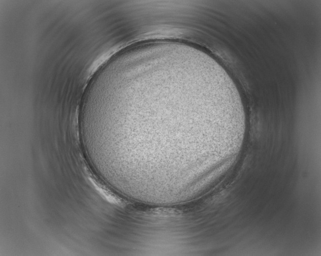 X0000076400842200611031720