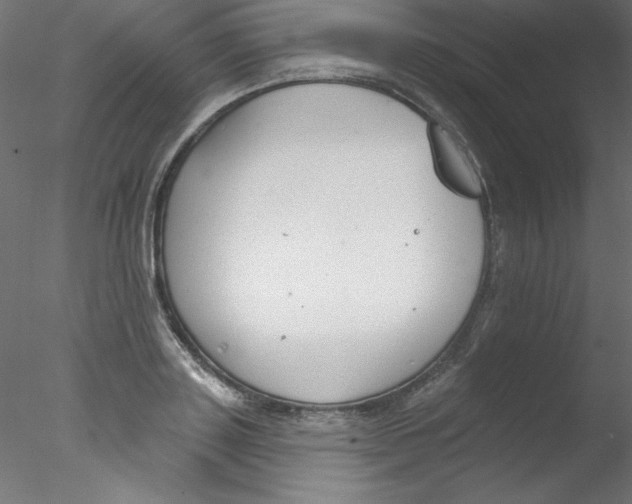 X0000076400843200611031720