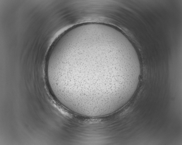 X0000076400846200611031720