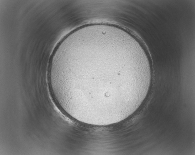 X0000076400847200611031720