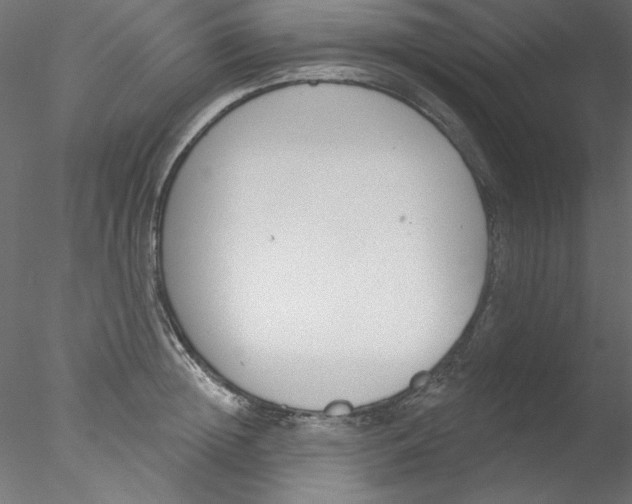 X0000076400852200611031720